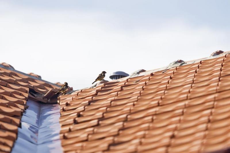 Techniques efficaces pour la r&eacute;paration de toiture &agrave; LA FERE